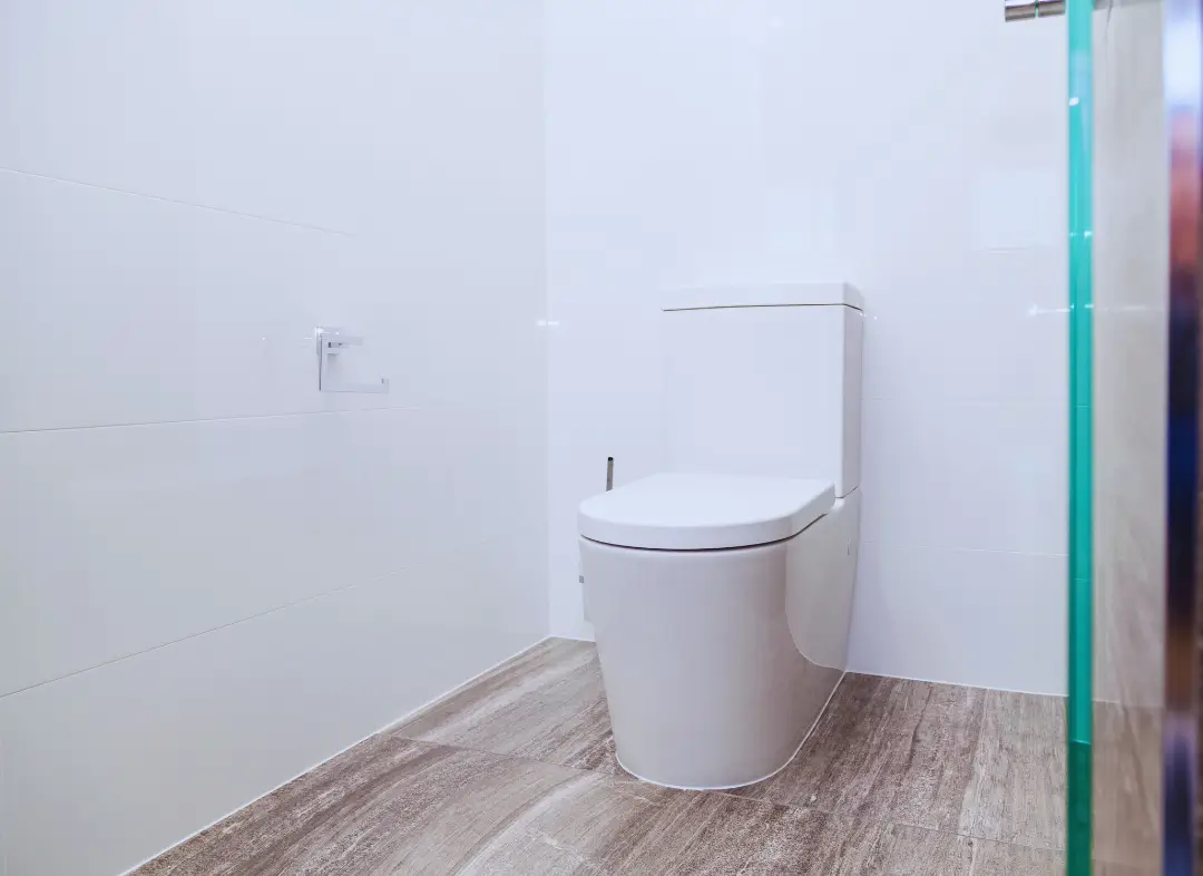 Remplacement de wc Saleux